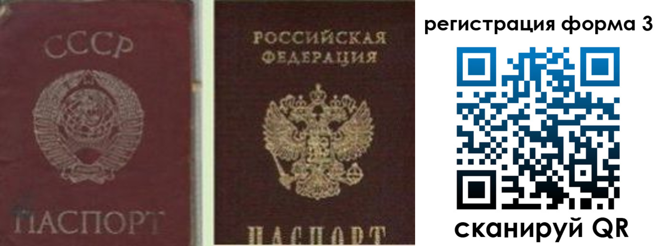 прописка для школы в Ельне